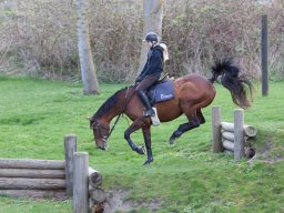 2016 Terrænspring træning